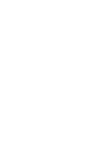 Sal Cisne
